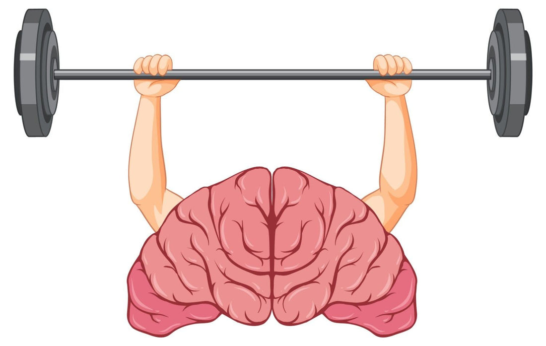 The Overlooked Muscle That Boosts Longevity, Balance, and Brain Health