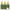 Be Weird Sea Buckthorn Immunity Booster Nabhi Oil
