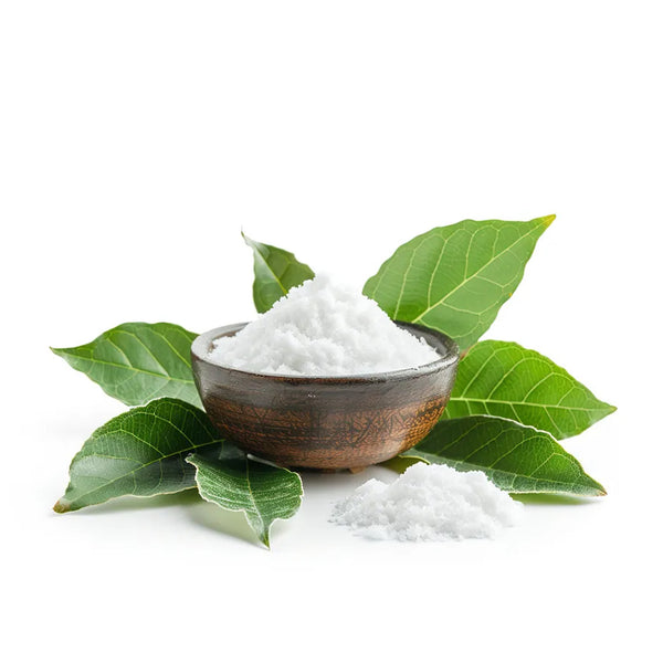 CAMPHOR