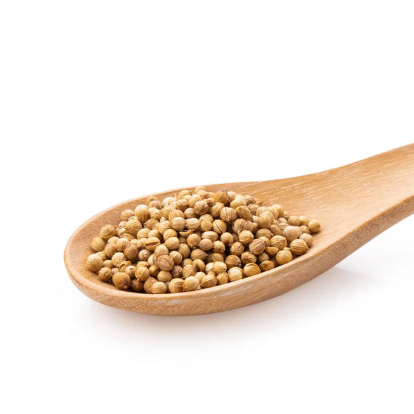 CORIANDER SEEDS
