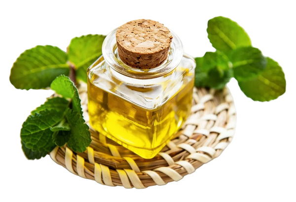 PEPPERMINT OIL